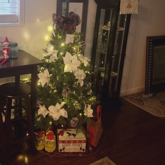 Meet your Posher, Alice - Picture 3 of 15